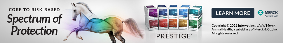 https://www.pattersonvet.com/Search?q=prsetige+equine